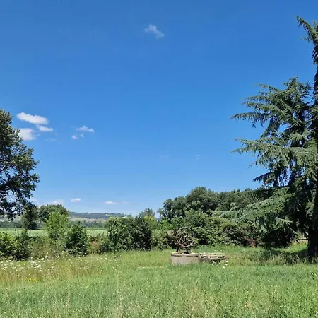 Le Chinchilla Tatil Evi