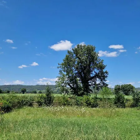 Prázdninový dům Le Chinchilla *